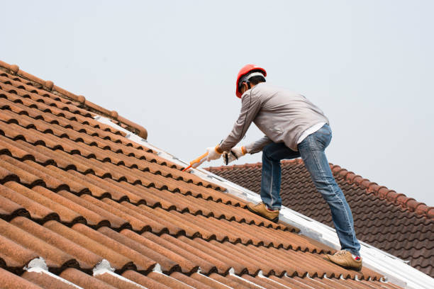 Best Roof Maintenance  in Kosciusko, MS